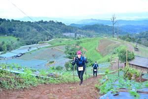 BIB: 
                            <button type="button" onclick="openModal(13393559)" class="btn btn-primary btn-sm float-right btn-popup" data-toggle="modal" data-target=".modal-high-quality">
                        <i class="fas fa-shopping-cart"></i> Add to Cart
                    </button>
                                            <button type="button" onclick="isThisMe(13393559, true)" class="btn btn-success btn-sm float-right btn-popup btn-isme hidden" data-toggle="tooltip" data-placement="bottom" title="นี่คือรูปของคุณใช่ไหม คลิกที่นี่เพื่อเอาเข้าอัลบั้ม">
                        <i class="fas fa-plus"></i> Add to album
                    </button>
                    <button type="button" onclick="isThisMe(13393559, false)" class="btn btn-warning btn-sm float-right btn-popup btn-isnotme hidden">
                        <i class="fas fa-ban"></i> Remove from album
                    </button>